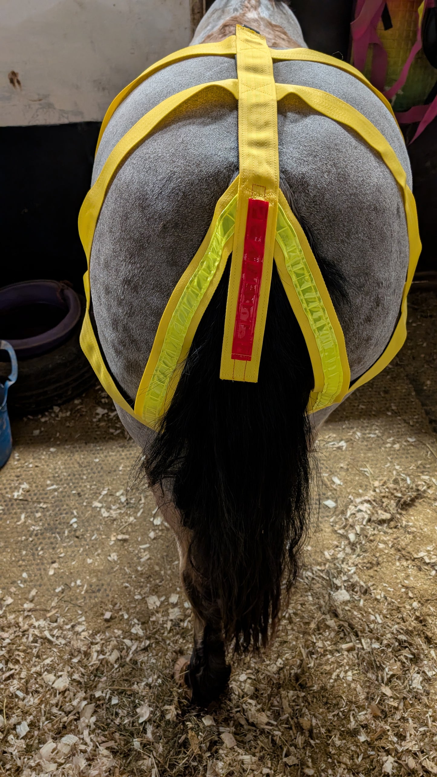 Parsons Rump - Pony