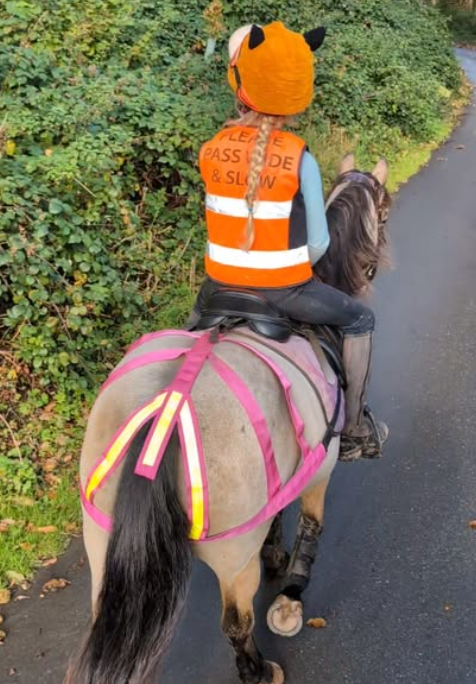 Parsons Rump - Pony