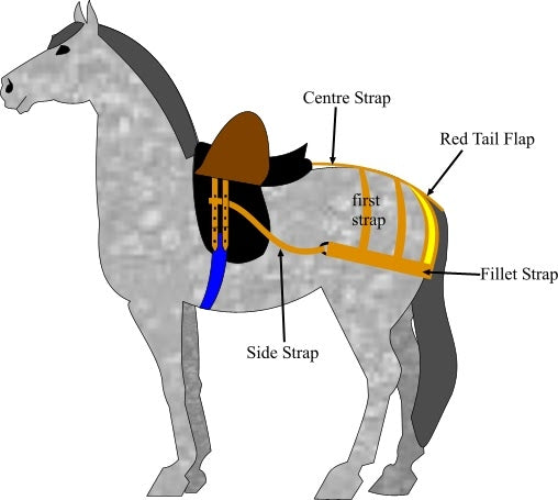 Parsons Rump - Pony